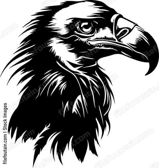 Vulture