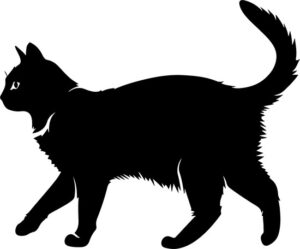 Walking Cat