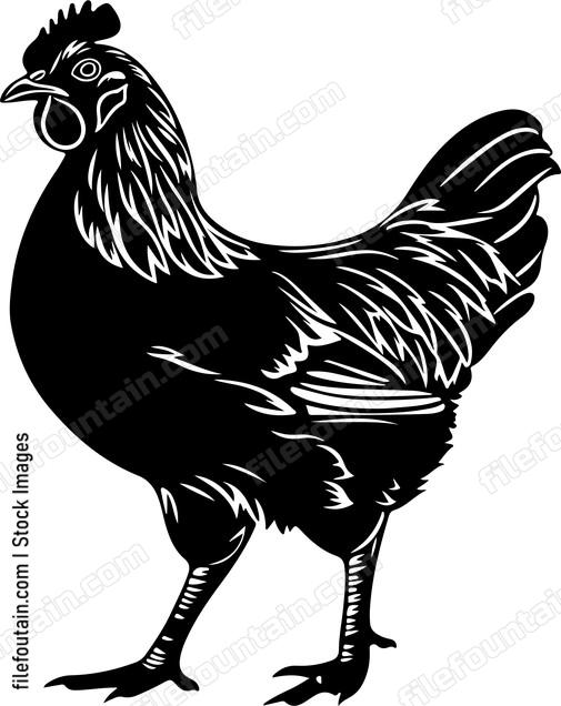 Walking Chicken