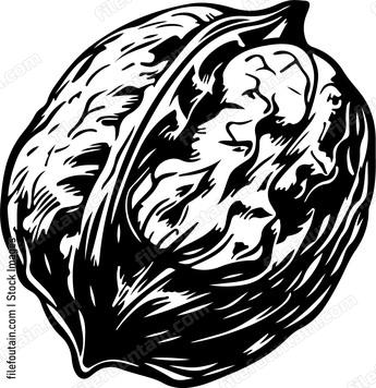 Walnuts