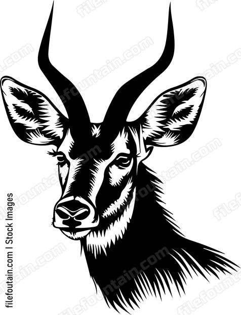 Waterbuck
