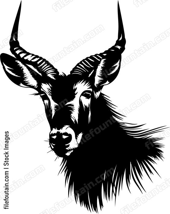 Waterbuck