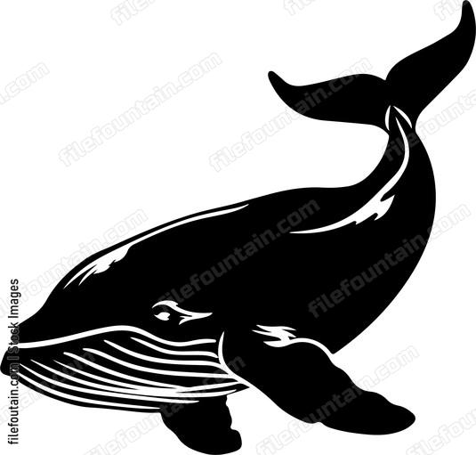 Whale