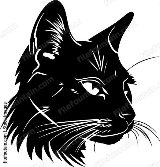 What Part Of Meow Dont You decff df
