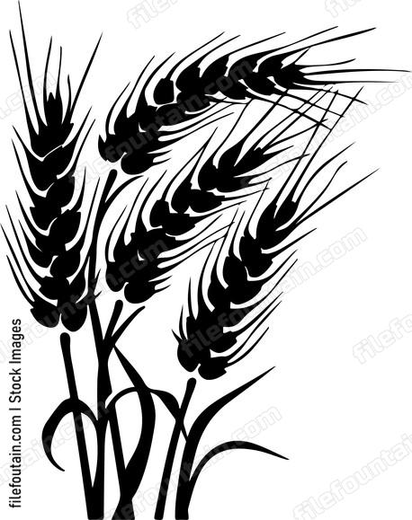 Wheat Bushel