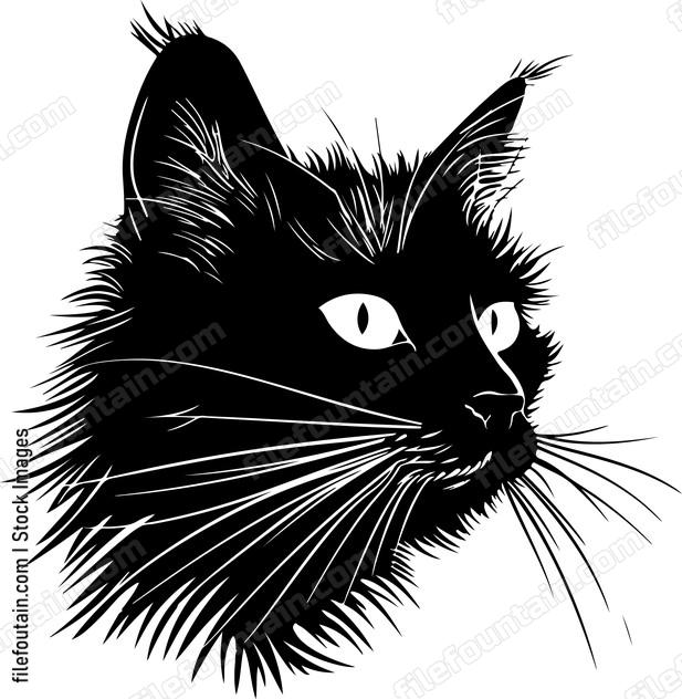 Whiskers