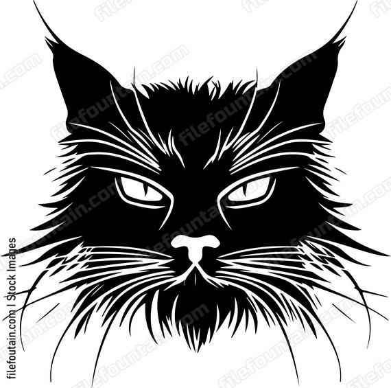 Whiskers