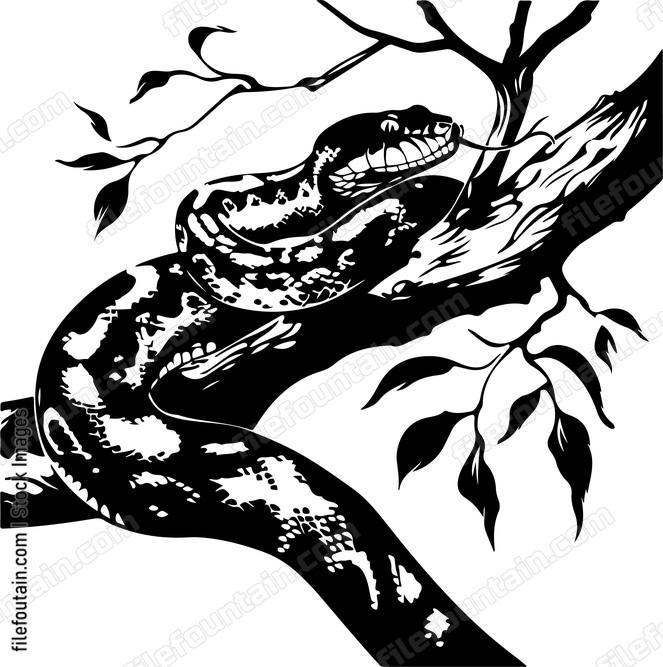 Anaconda on a tree branch