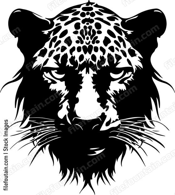Angry Leopard