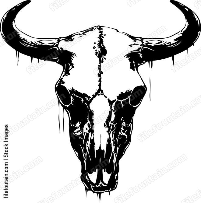 Animal Skull Bull