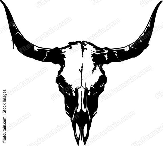 Animal Skull Bull