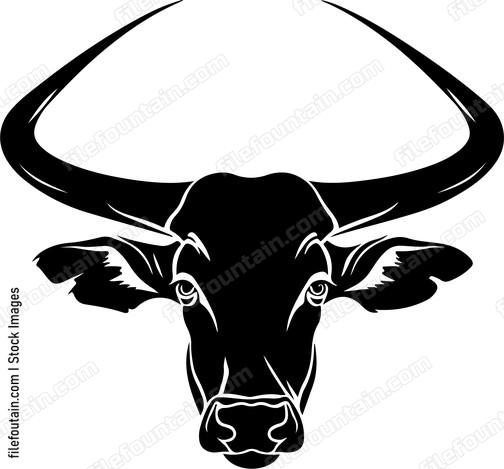 Ankole watusi