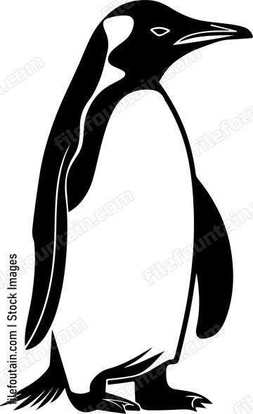 Antarctica Animals