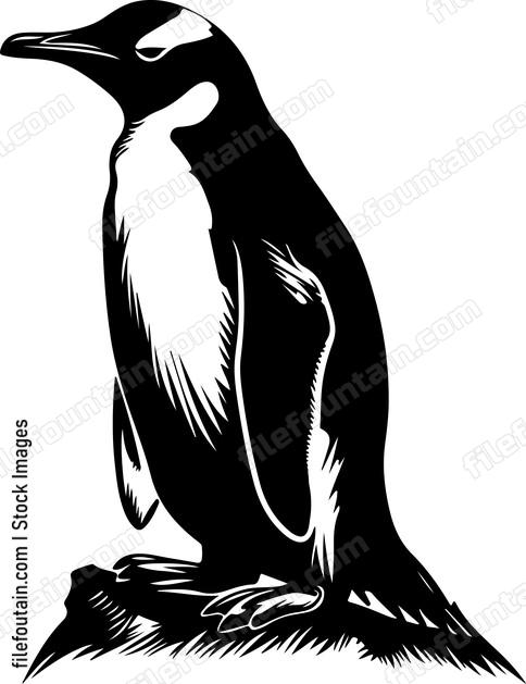 Antarctica Animals