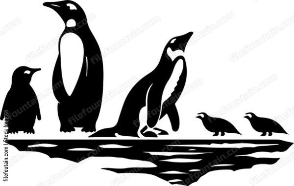 Antarctica Animals