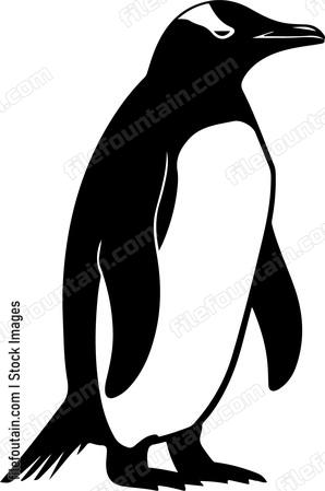 Antarctica Animals