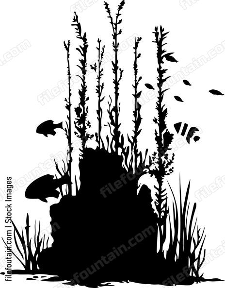Aquascaping