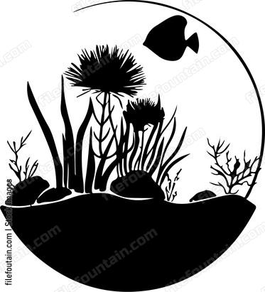 Aquascaping