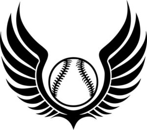 Baseball with black wings