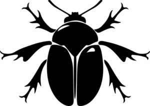 Beetle with large antennae