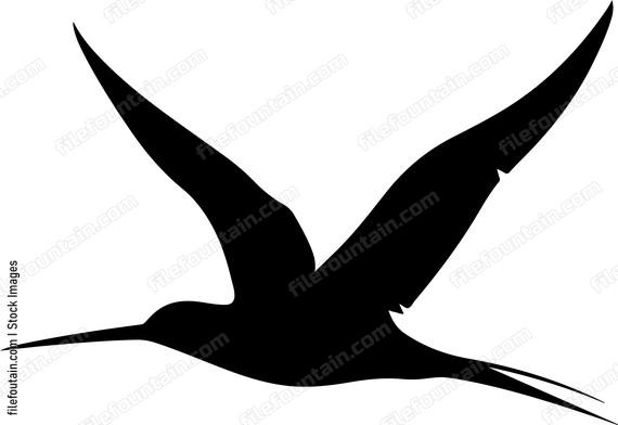 Bird in flight silhouette