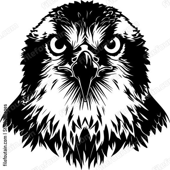 Bird of prey head