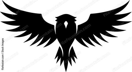 Bird of prey spread wings