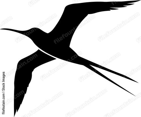 Bird with long pointed wings