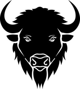 Bison