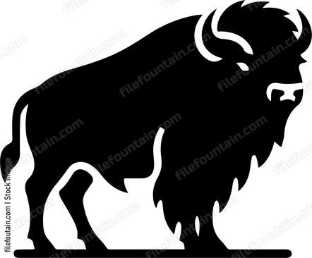 Bison
