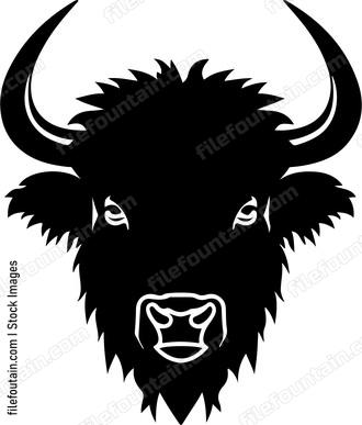Bison