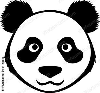 Black bear face