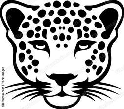 Black cheetah head