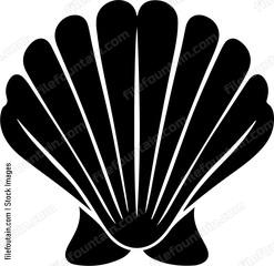 black clam shell