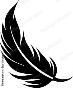 Black feather