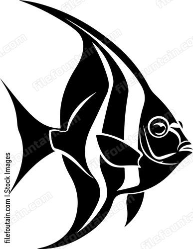 Black fish