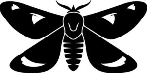 black moth