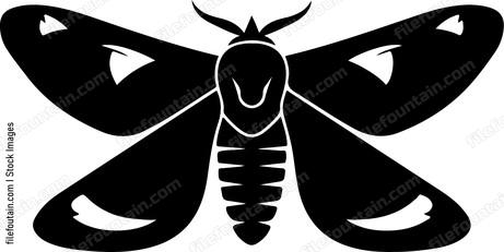 black moth