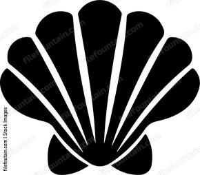 black seashell