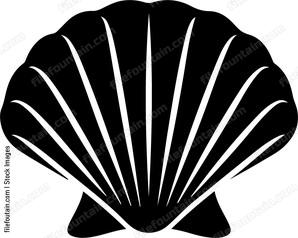 black seashell