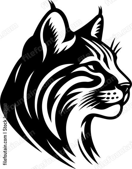 Bobcat