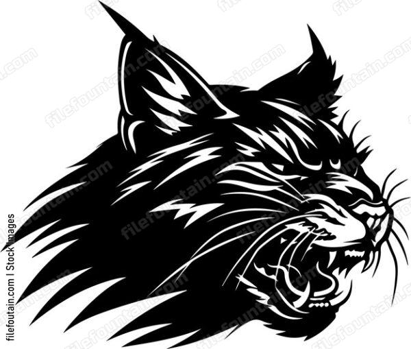 Bobcat