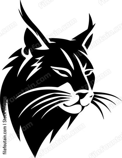 Bobcat
