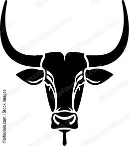 Bull head facing forward