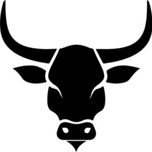Bull head facing forward