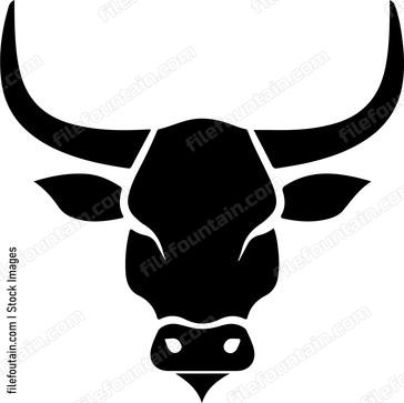 Bull head facing forward