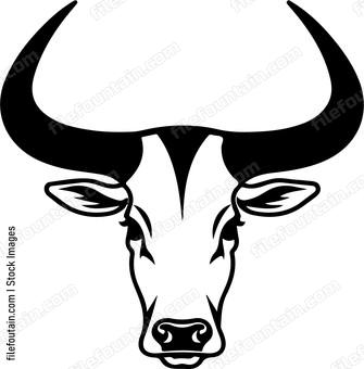 Bull head facing viewer