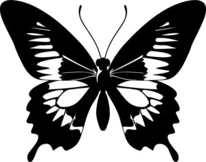 Butterfly with intricate wings