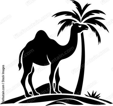 Camel Near Palm