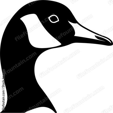 Canadian Goose Head